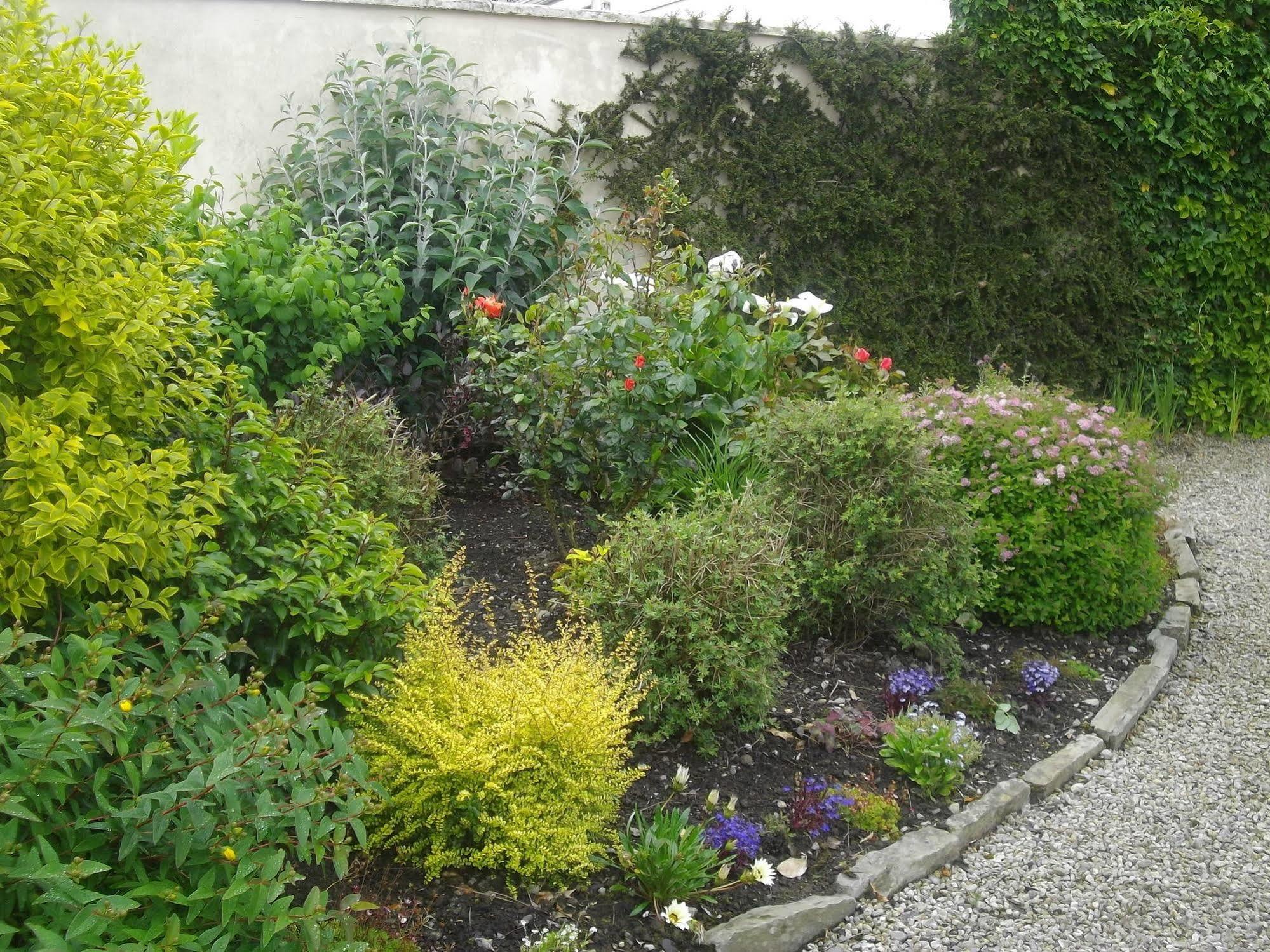Quay West Ireland Bed & Breakfast Westport Exterior photo